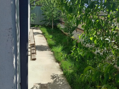 Casa 3 camere | Curte proprie | Pajura