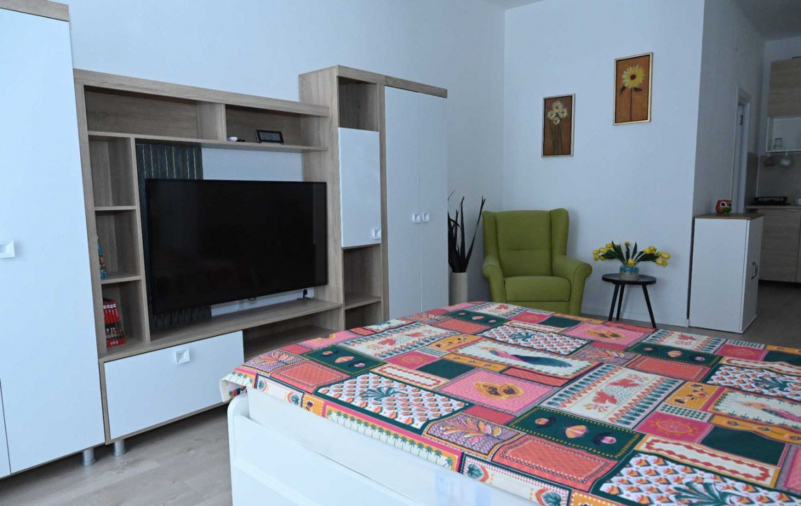 Studio modern Cișmigiu