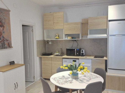 Studio modern Cișmigiu
