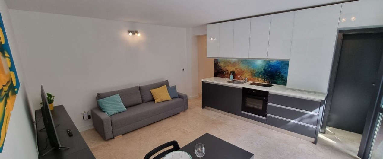 Studio Modern | Parcul Tineretului - Metrou Brancoveanu
