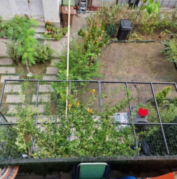 Casa 3 camere + Birou | 3 bai | Curte | Timpuri Noi